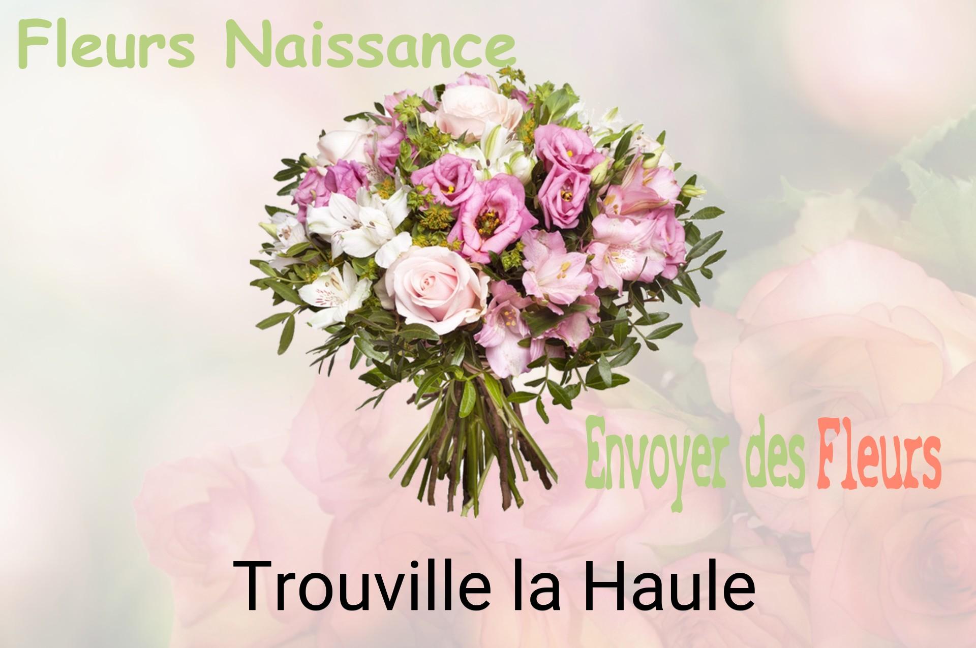 Bouquet de fleurs de naissance livré à Trouville-la-Haule