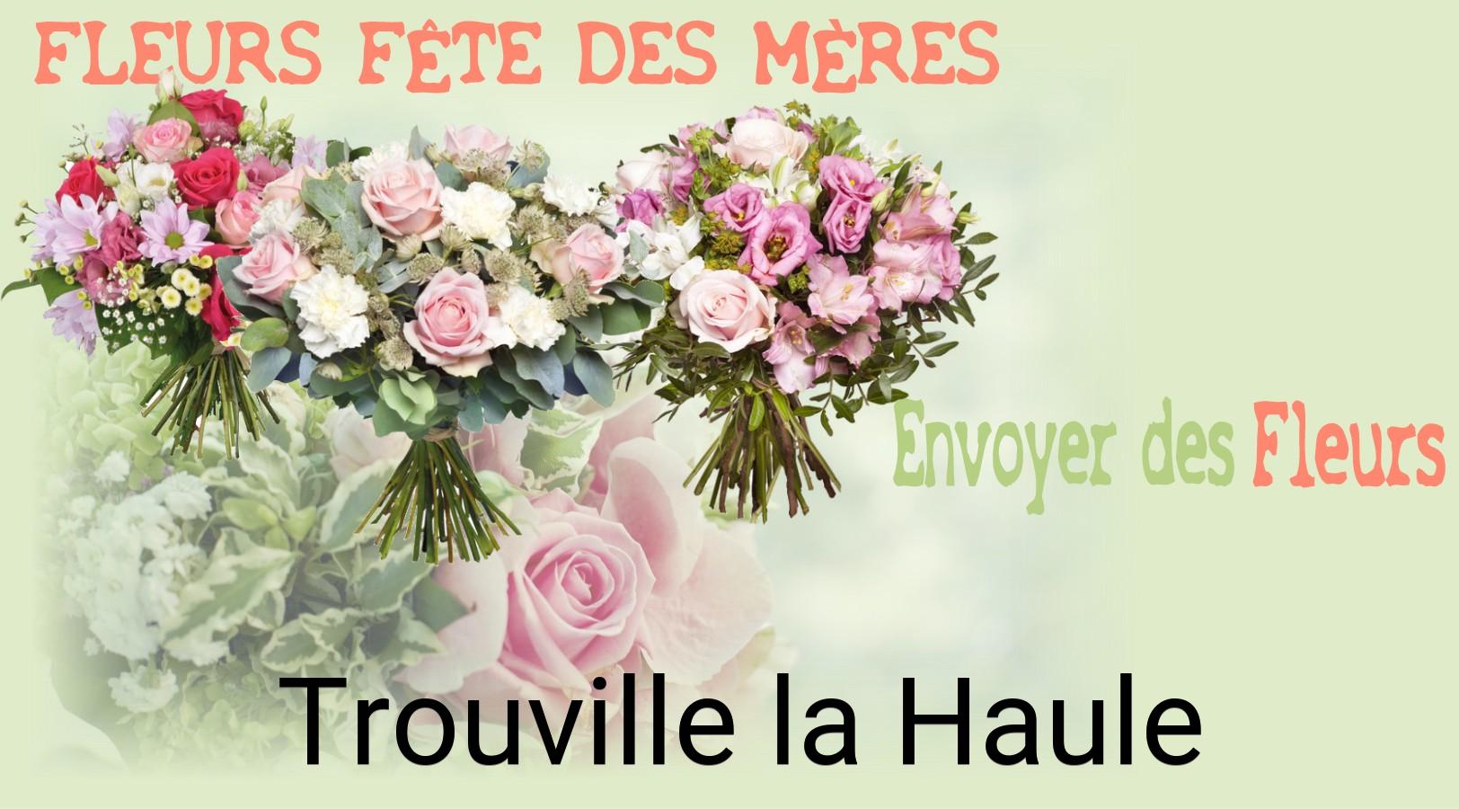 Bouquet de Fête des Mères livré à Trouville-la-Haule